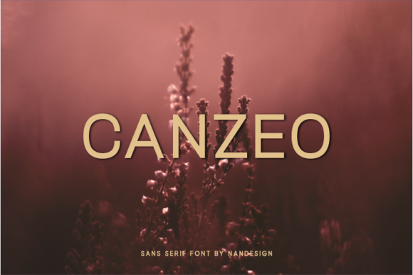 Canzeo: A Modern Sans Serif Typeface for Editorial Design