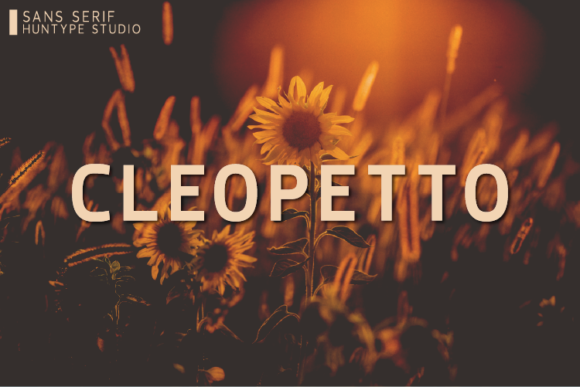 Cleopetto: A Clean Sans Serif Typeface for Modern Web Design