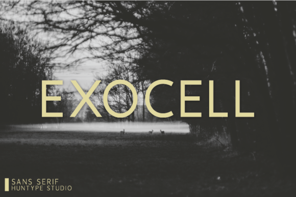 Exocell: The Clean Sans Serif Font for Modern Web Design