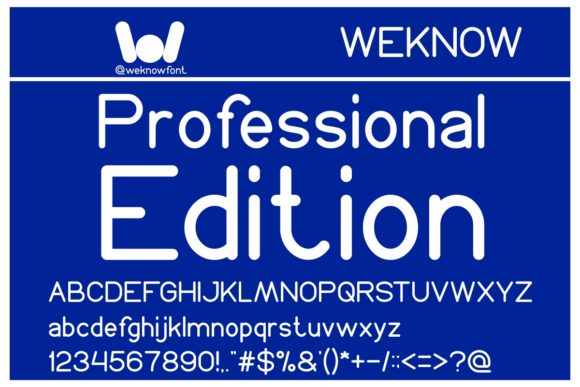Professional Edition: A Minimal Sans Serif for Editorial Clarity