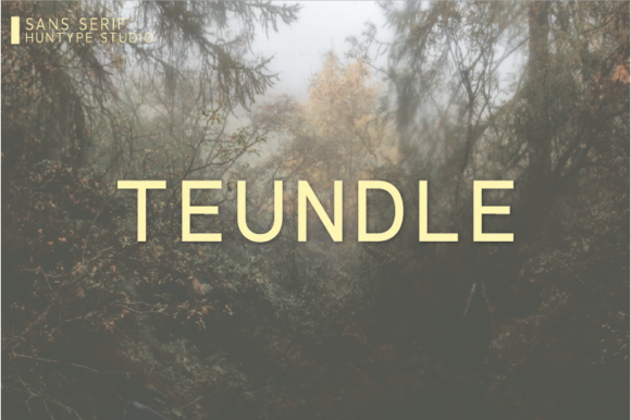 Teundle Typeface Review: A Clean Sans Serif for Modern Digital Brands