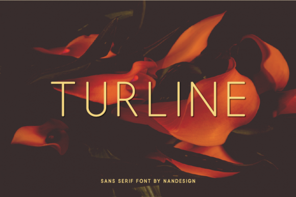 Turline: The Modern Sans Serif for Editorial Design