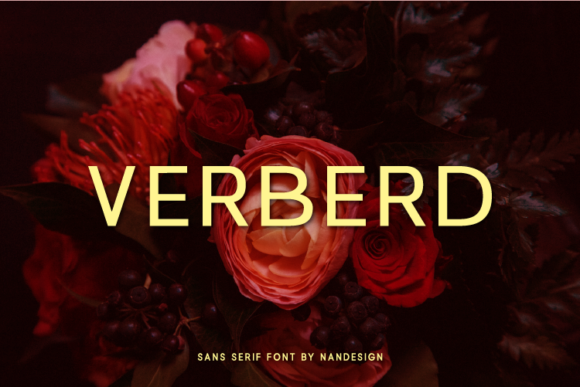 Verberd: A Clean Sans Serif Font for Modern Campaign Design