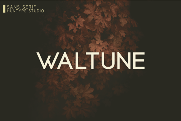 Waltune: A Minimal Sans Serif Font for Clean Editorial Design