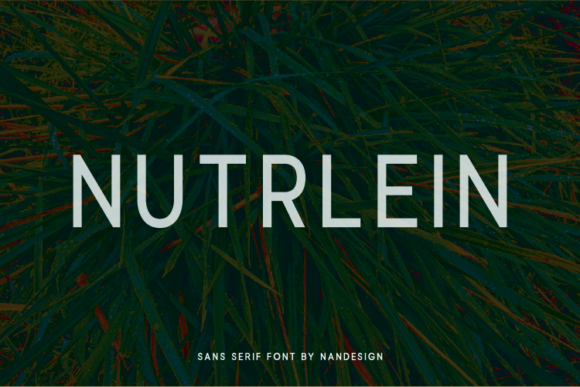 Why Nutrlein Is the Perfect Sans Serif Typeface for Modern Editorial Design